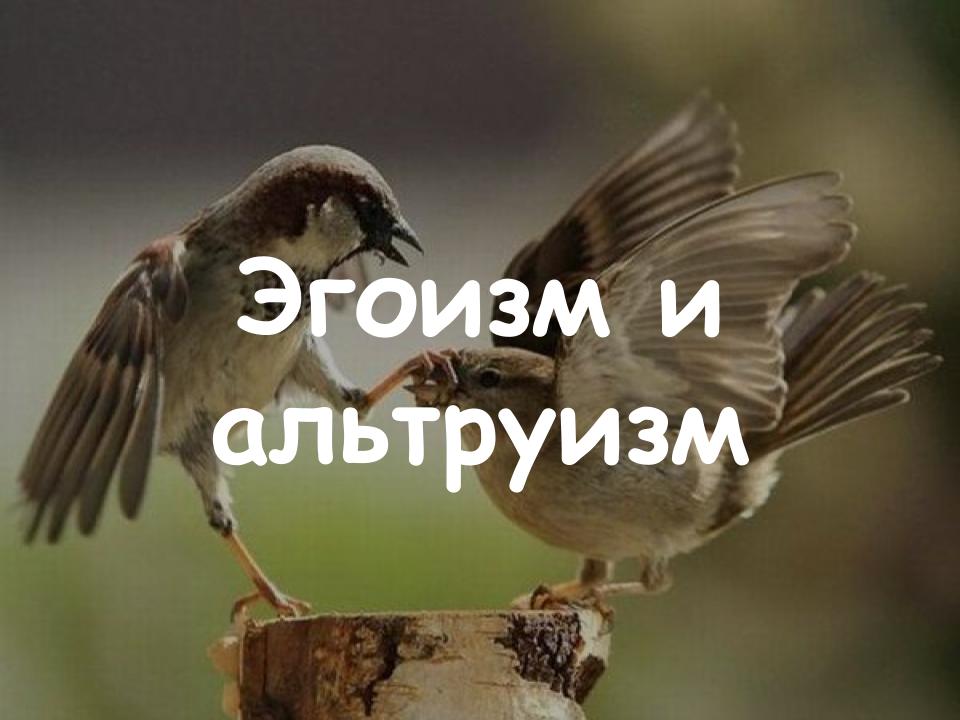 Эгоизм и альтруизм
